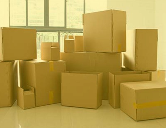 Furniture Removals Industry