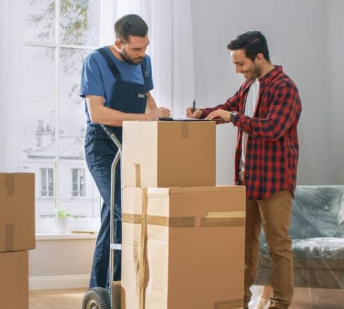 Furniture Removals Industry